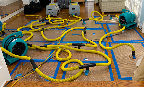 Professional Water Damage Restoration technician working in Waupaca, WI